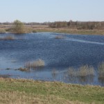 Прямо на задах все затоплено, в луга без лодки не попасть