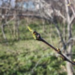 post-IMG_2139
