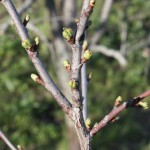 post-IMG_2140