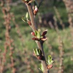 post-IMG_2141