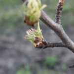 post-IMG_2142