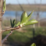 post-IMG_2144