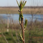 post-IMG_2146