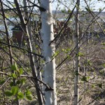 post-IMG_2152