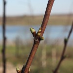 post-IMG_2154