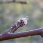 post-IMG_2155