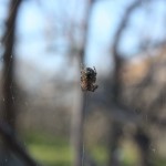 post-IMG_2165